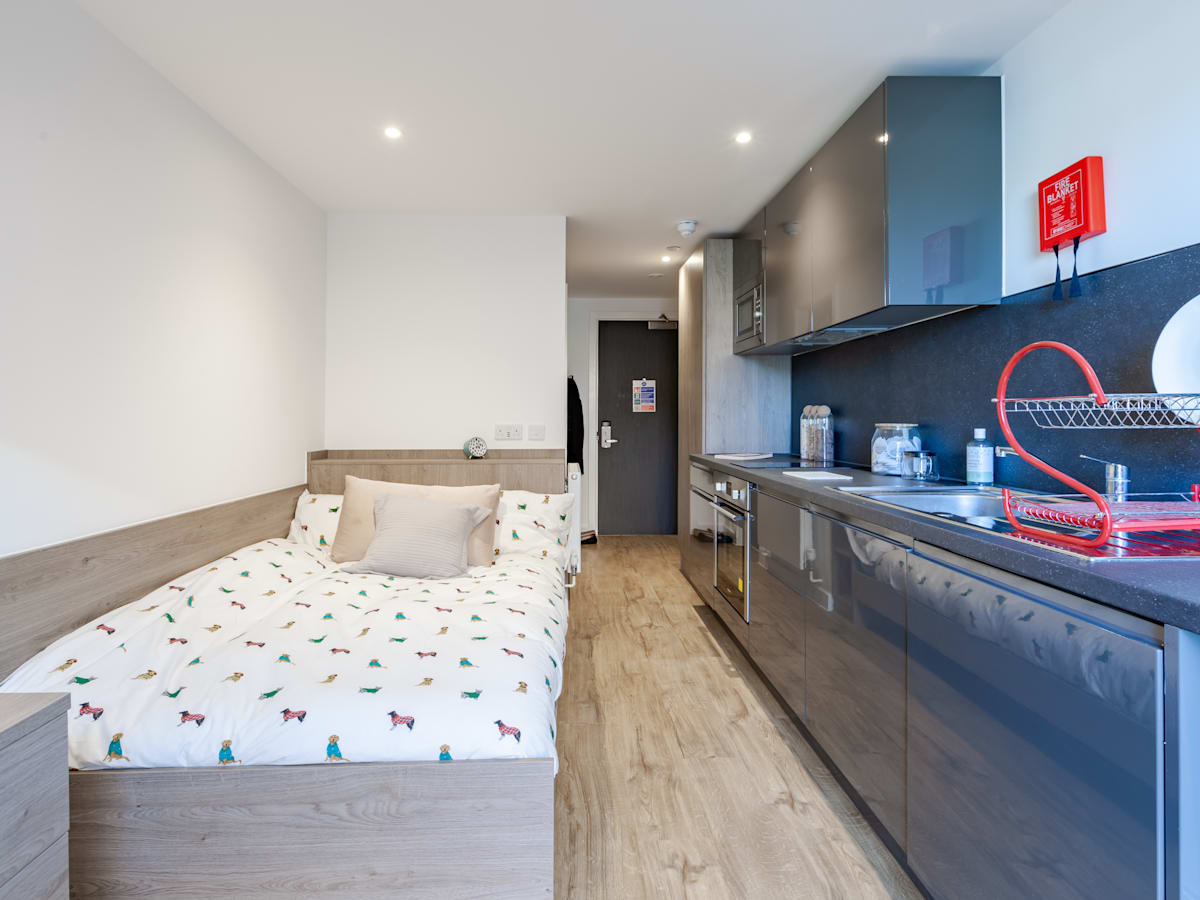  Classic Studio  -  Pavilion Point  - Gallery -  8