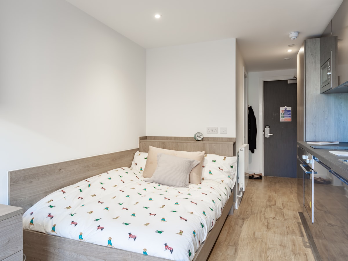  Premium Studio  -  Pavilion Point  - Gallery -  5