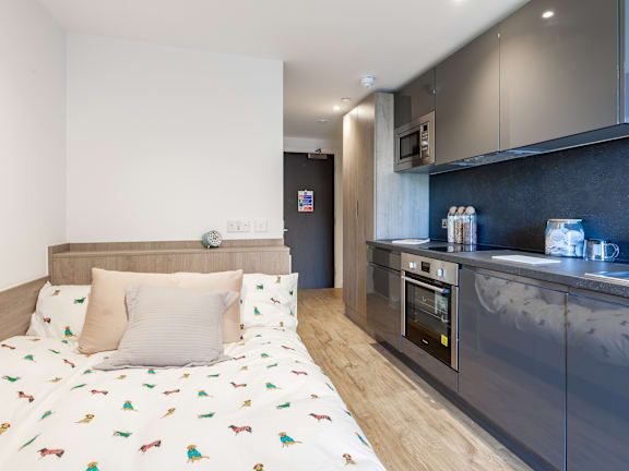  Premium Studio  -  Pavilion Point  - Gallery -  1