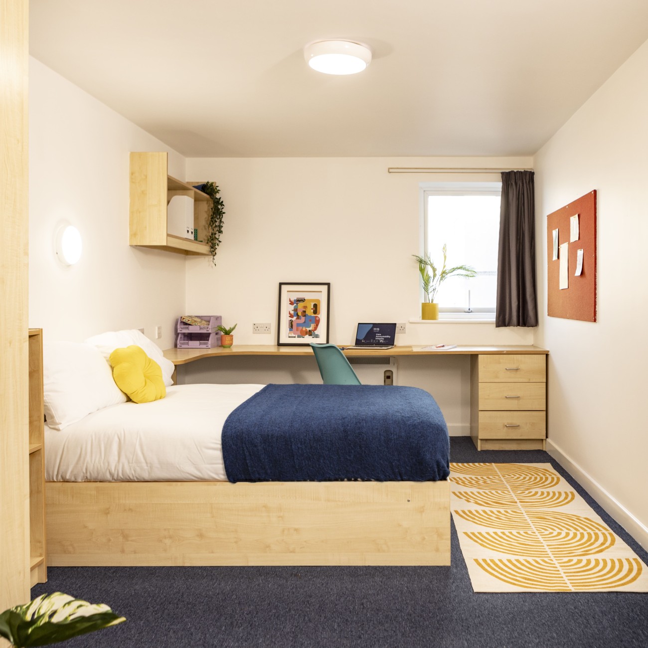  Platinum Plus  -  البرت كورت  - Gallery -  1