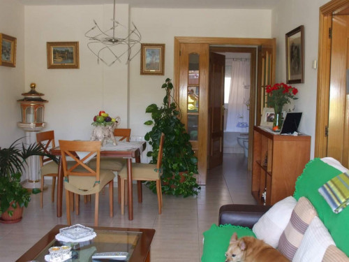 Single bedroom, with private bathroom, in 2-bedroom apartment