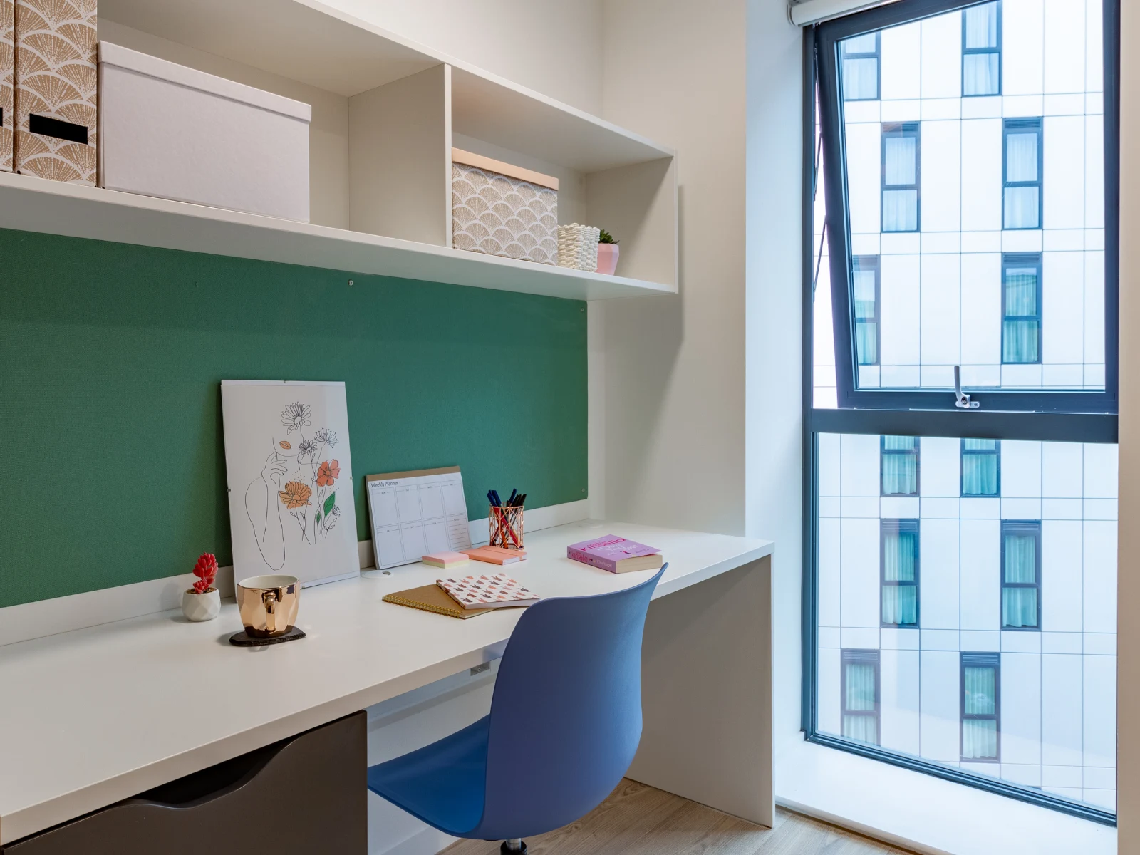  Premium Studio  -  Pavilion Court  - Gallery -  4
