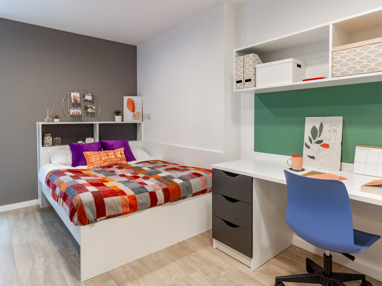  Classic Studio  -  Pavilion Court  - Gallery -  1