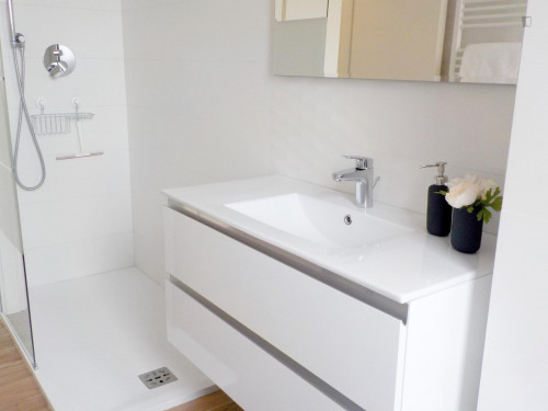 2-bedroom 2-bathroom apartment, newly refurbished