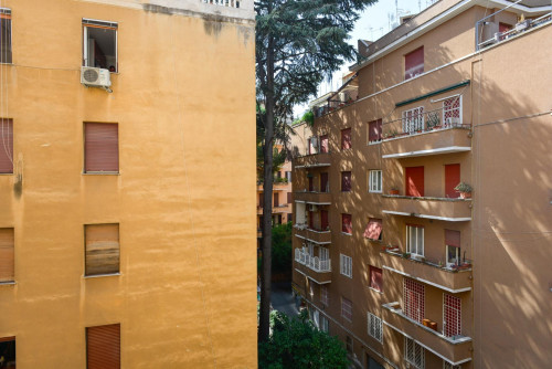 Inviting single bedroom near the Acqua Acetosa train station