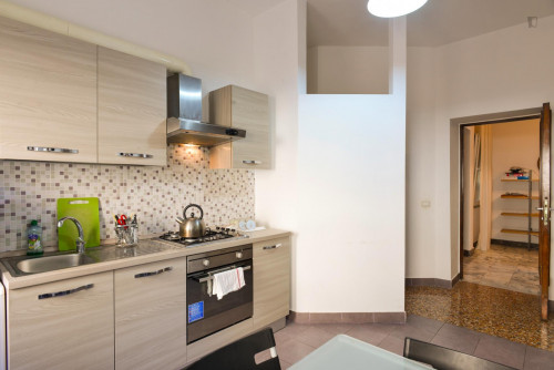 Inviting single bedroom near the Acqua Acetosa train station  - Gallery -  5