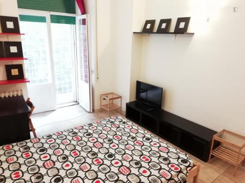 Spacious double bedroom near Ponte Lungo metro station