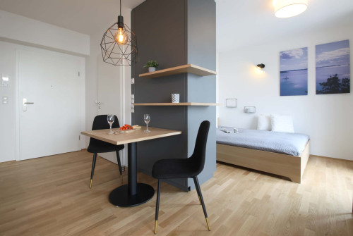 Apartment in Riemenschneiderstraße, Bonn for 30 m²