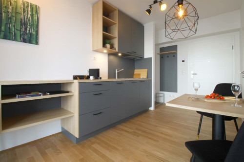 Apartment in Riemenschneiderstraße, Bonn for 30 m²  - Gallery -  5