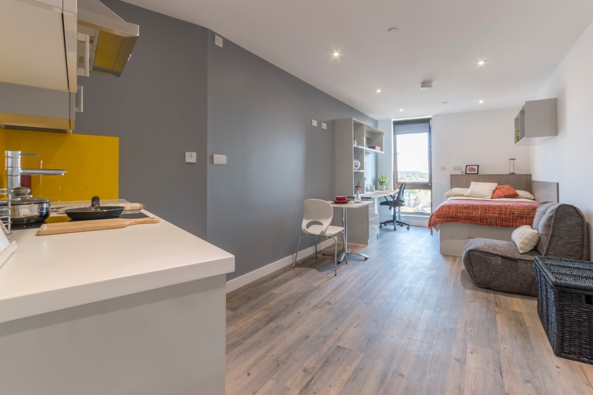 Premium Gold Studio - Glendower House - Gallery - 4