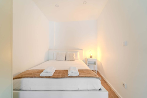 LZ Studio, Braga - Gallery - 5