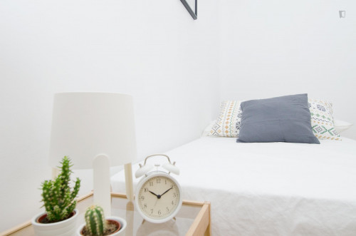 Incredible double bedroom near Nuevos Ministerios metro station