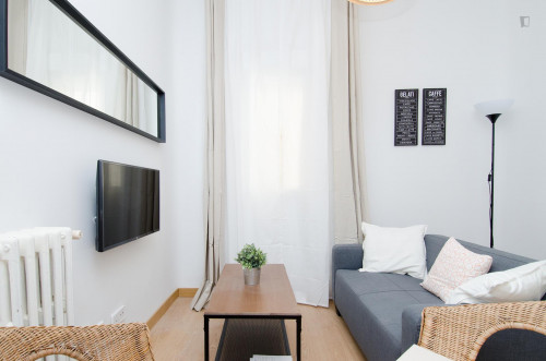 Lovely double bedroom near Nuevos Ministerios metro station  - Gallery -  5