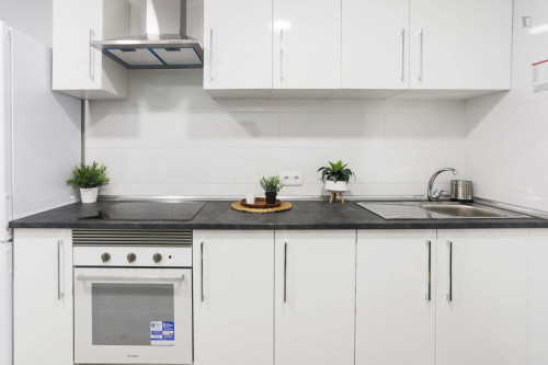 Charismatic double bedroom in a student flat, in Vallehermoso
