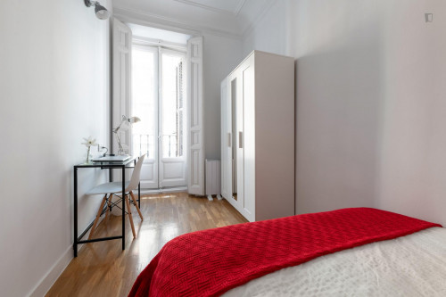 Shiny double bedroom in a student flat, near Puerta de Alcalá - Gallery - 14