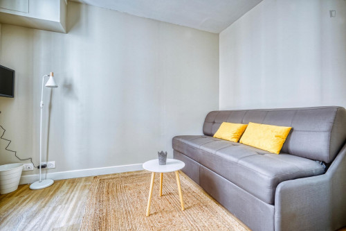 Fantastic studio near Paris Montparnasse transport station