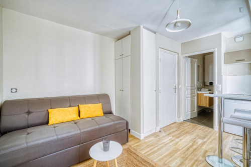 Fantastic studio near Paris Montparnasse transport station