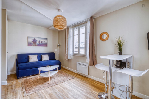 Alluring studio near Vaugirard Montparnasse 3 train station