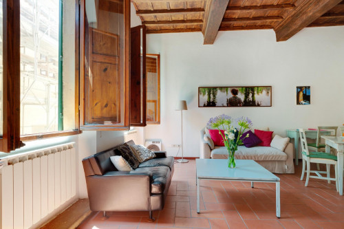 2-Bedroom apartment near Giardino Torrigiani - Gallery - 24