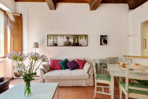 2-Bedroom apartment near Giardino Torrigiani - Gallery - 22