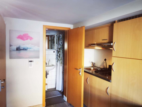 Wohnung in Pfarrstraße, Stuttgart für 25 m² W5  - Gallery -  5