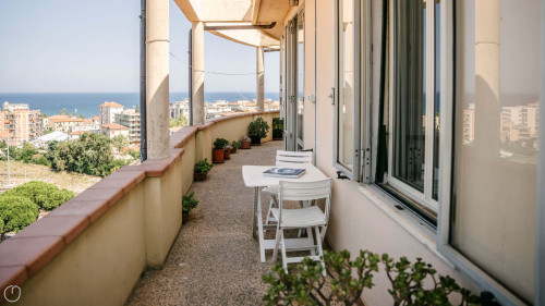 Tra le Nuvole - Gallery - 71