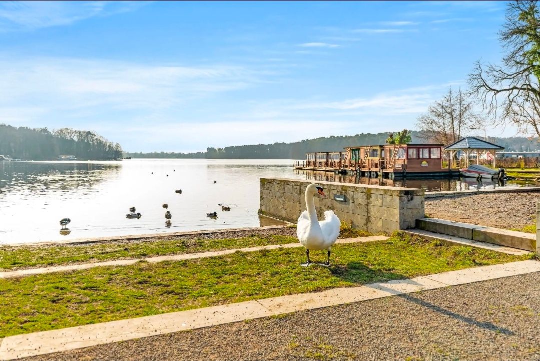  Design Apartment By The Water – Style, Comfort & Serenity For Long‑Stay Guests  -  Design Apartment by the Water – Style, Comfort & Serenity for Long‑Stay Guests  - Gallery -  21
