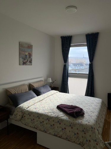 Lovely, great studio in Neu-Hohenschönhausen