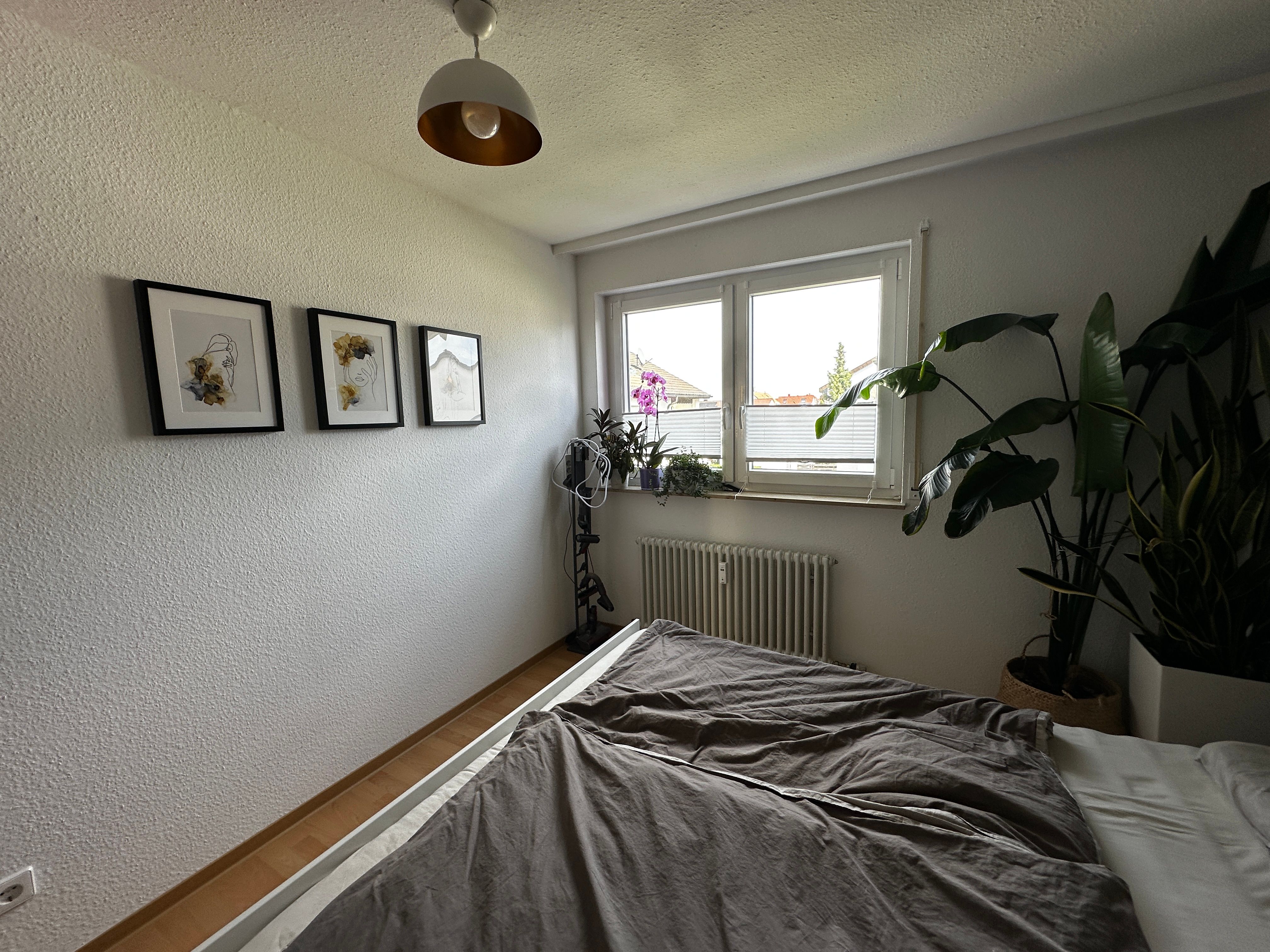  2-Room Flat In Leinfelden-Echterdingen, Sublet  -  2-room Flat in Leinfelden-Echterdingen, Sublet  - Gallery -  4