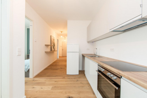 Single bedroom in 5-bedroom apartment  - Gallery -  5