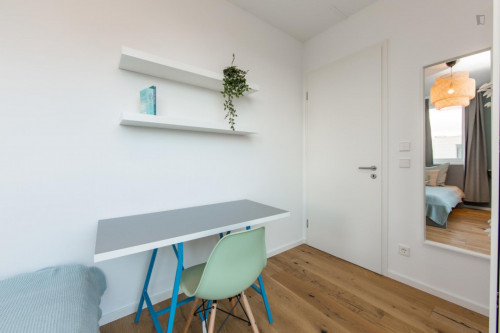 Single bedroom in 3-bedroom apartment