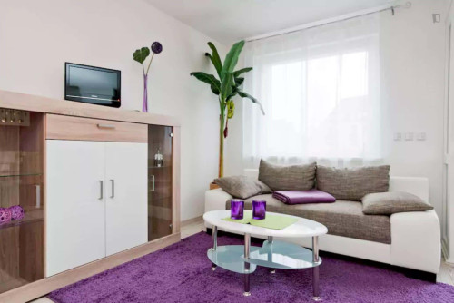 Apartment in Alt-Lichtenrade, Berlin for 35 m²  - Gallery -  5