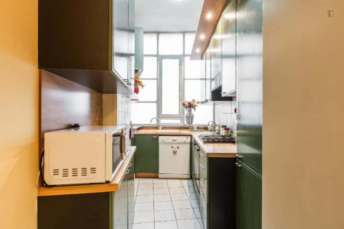 Apartment in Via Giuseppe Antonio Guattani, Roma for 33 m² with 1 bedroom