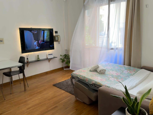 Apartment in Via Giovanni Antonelli, Roma for 60 m² with 1 bedroom