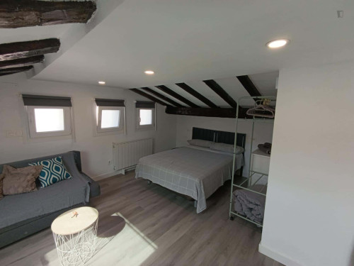 Apartment in Calle San Cosme, Burgos for 40 m²