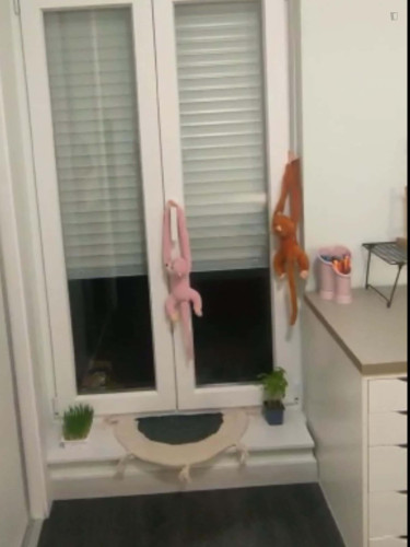 Room in Paseo del Doctor Torres Villarroel, Salamanca with 4 bedrooms