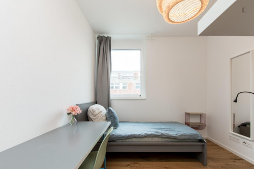 Single bedroom in 5-bedroom apartment