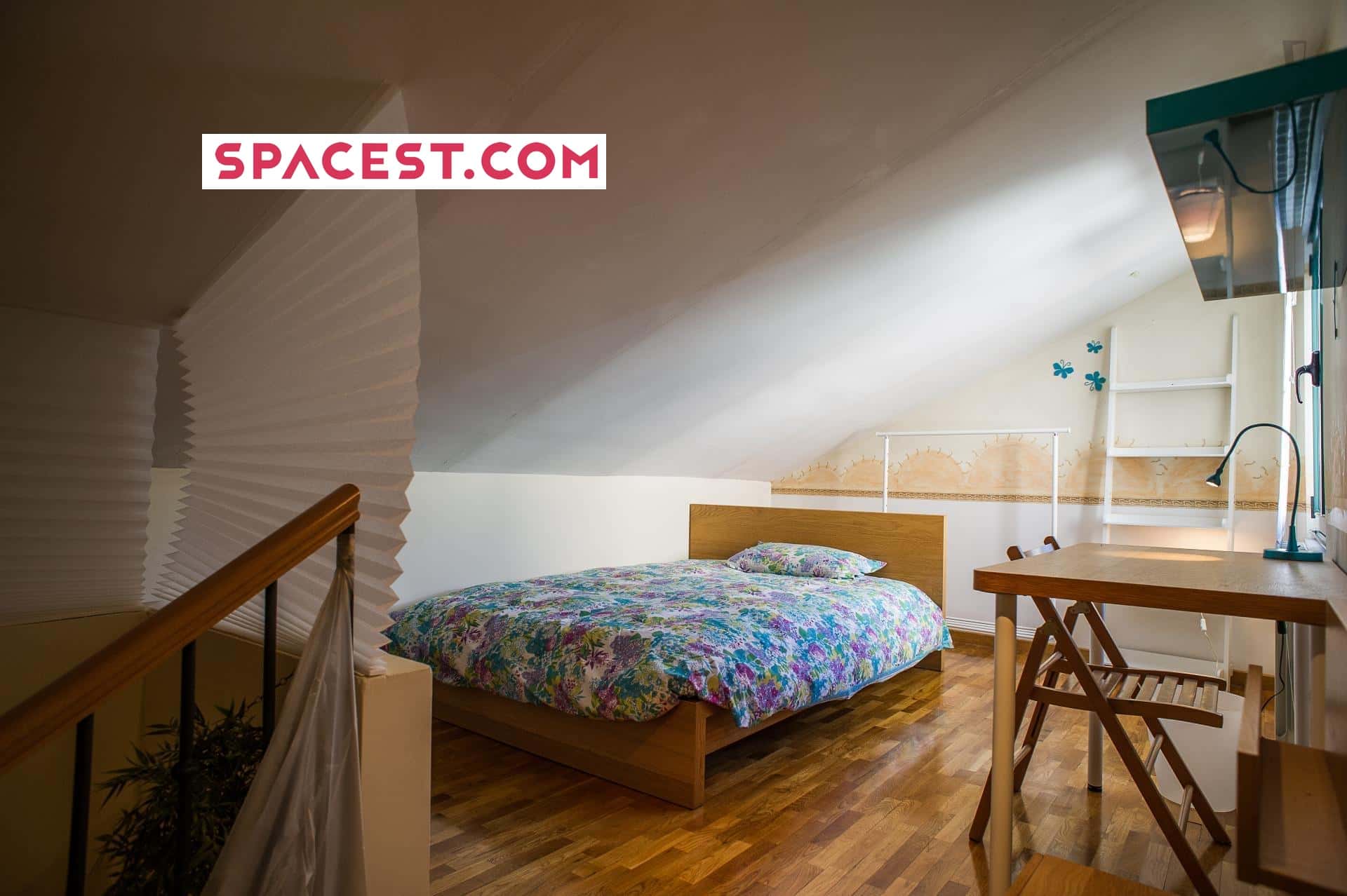 Room In Calle Larga, Salamanca With 4 Bedrooms - 1