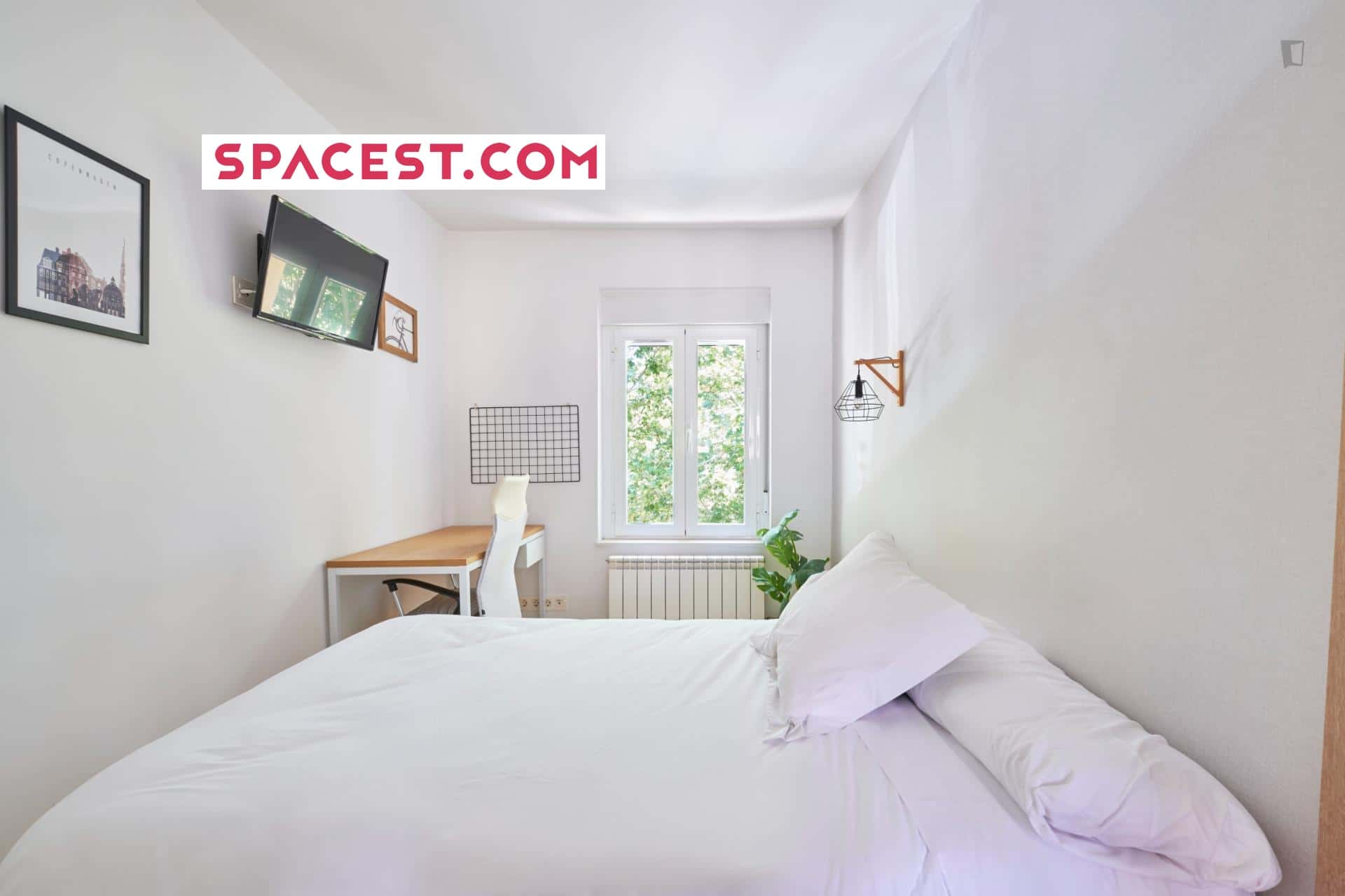 Room In Calle Esperanza, Salamanca With 5 Bedrooms - 1