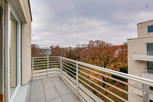 Single bedroom in 4-bedroom apartment  - Gallery -  5