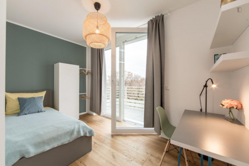 Single bedroom in 4-bedroom apartment