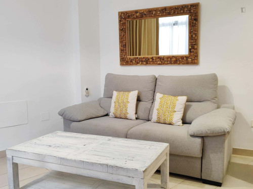 Apartment in Calle Carretería, Málaga - Gallery - 8