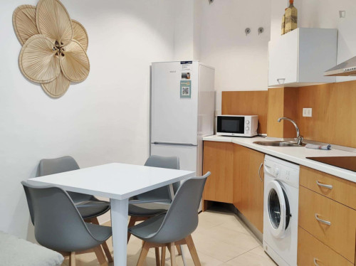 Apartment in Calle Carretería, Málaga - Gallery - 11