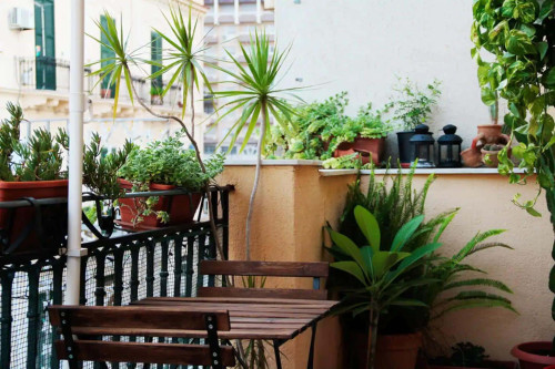 Apartment in Corso Domenico Scinà, Palermo for 56 m² with 1 bedroom - Gallery - 15