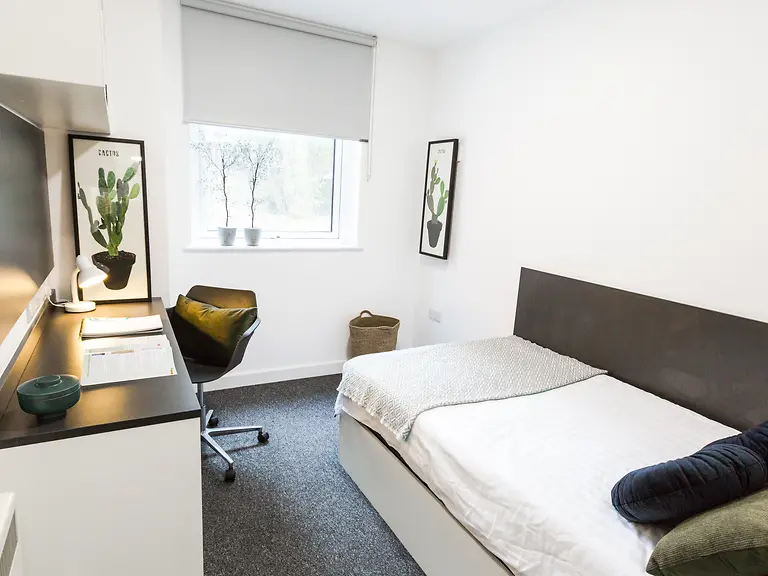 Essential Cluster En-Suite - 2