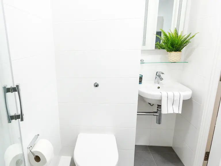 Essential Cluster En-Suite - 5