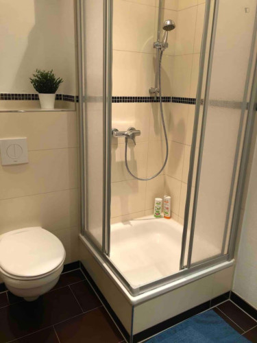 Apartment in Robert-Blum-Straße, Dresden for 35 m²  - Gallery -  5