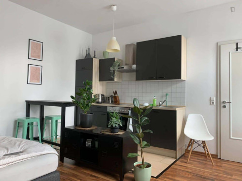 Apartment in Robert-Blum-Straße, Dresden for 35 m²