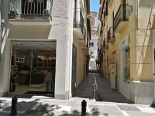 Apartment in Calle Sillería, Granada for 35 m² with 1 bedroom - Gallery - 25