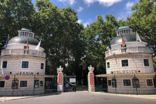 Amazing 1-bedroom apartment nearJardim da Amnistia Internacional park